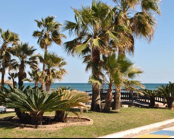 Appartement Perla Del Sol 1 L